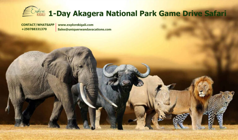 1-Day Akagera National Park Game Drive Safari