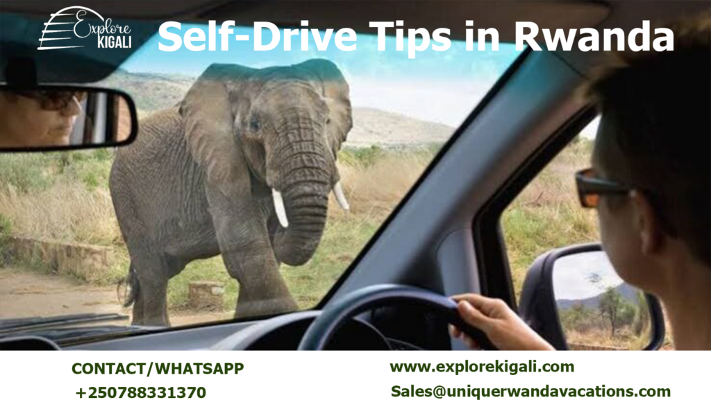 Self-Drive Tips in Rwanda